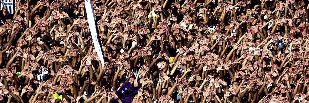 FÚRIA JOVEM DO BOTAFOGO's banner