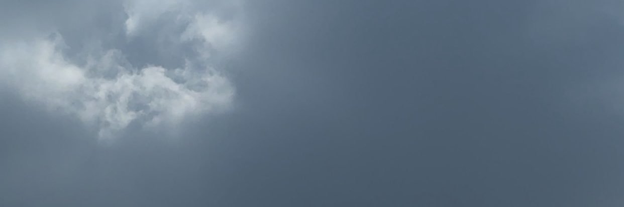 سعيد مشهور's banner