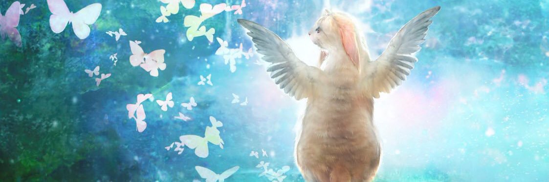 双葉社✖︎知念実希人作品〈公式〉's banner