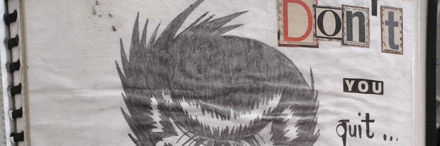 Tito Enz's banner