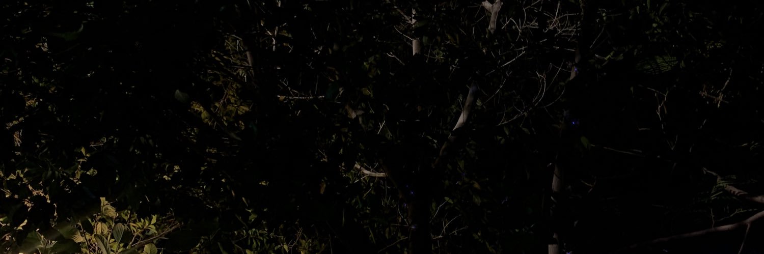 منال العتيبي's banner