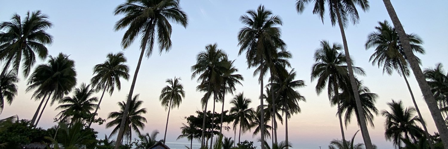 🍍's banner