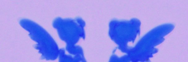 Him's banner