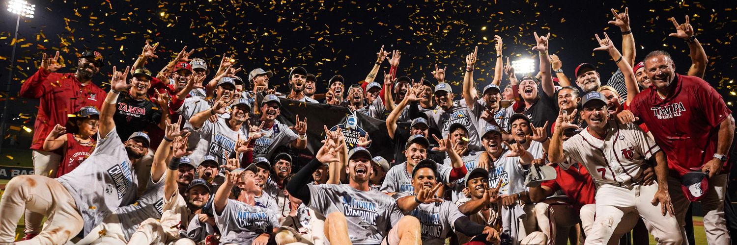 Tampa Baseball's banner