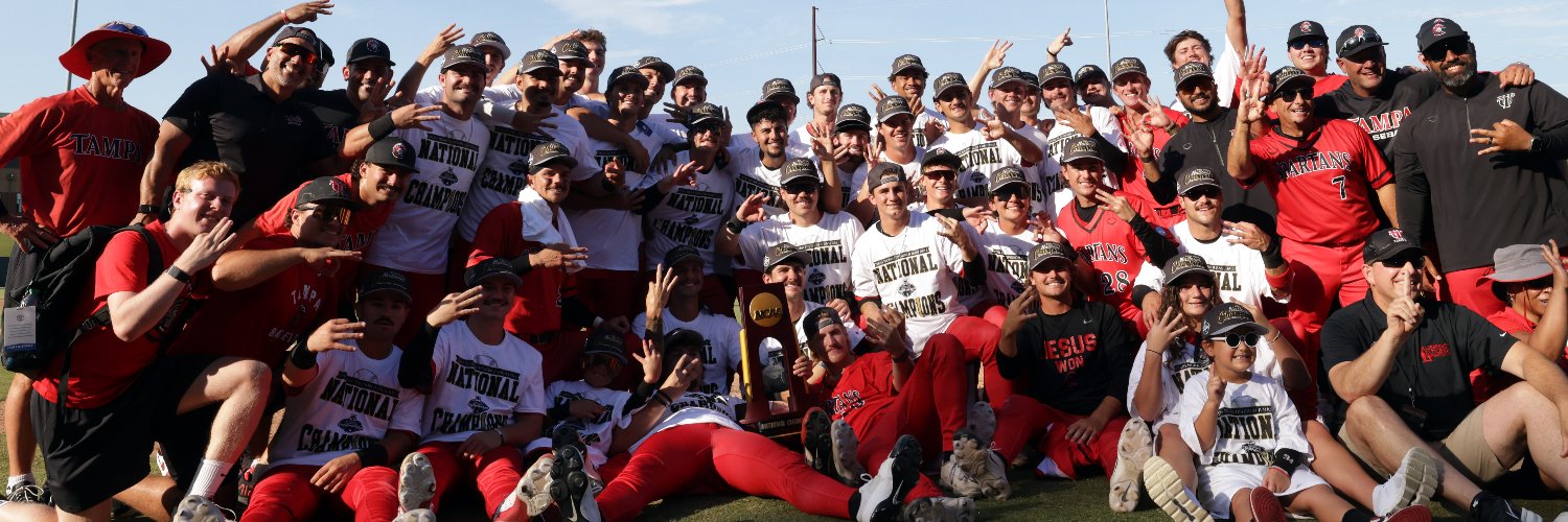 Tampa Baseball's banner