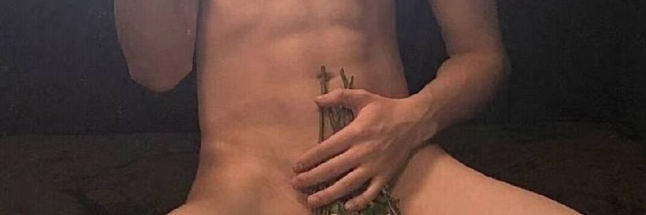 w sean's banner