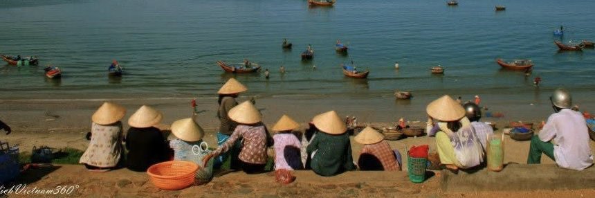 Tran Thai Hoa's banner