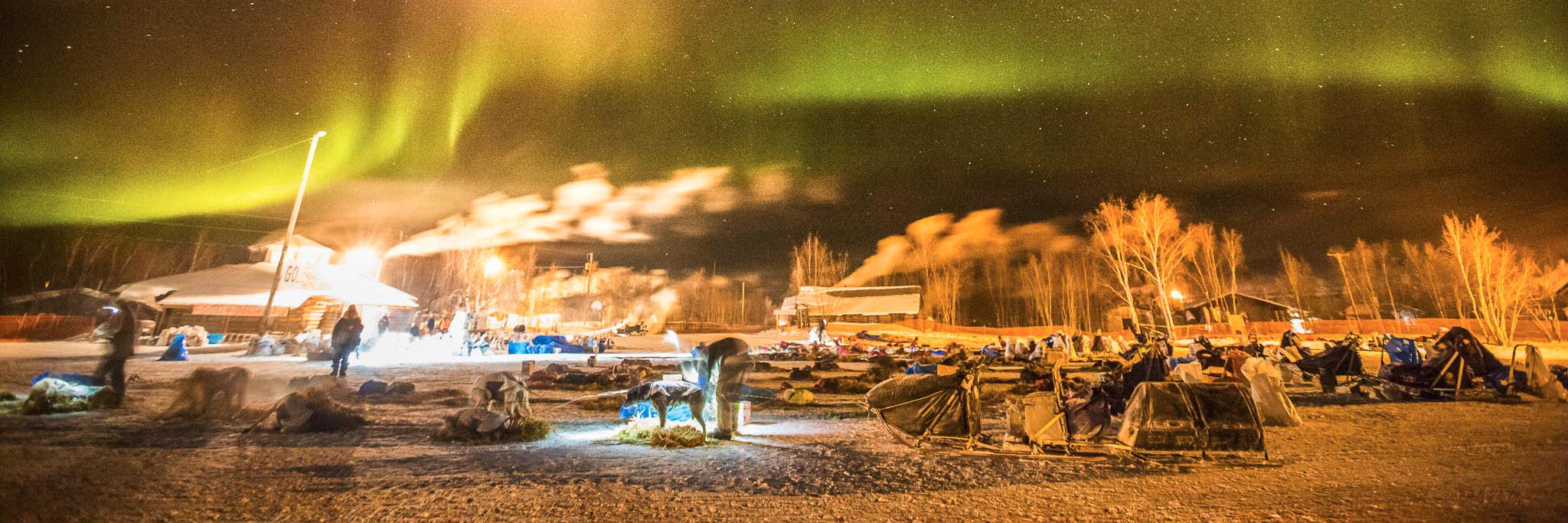 ADN Iditarod's banner