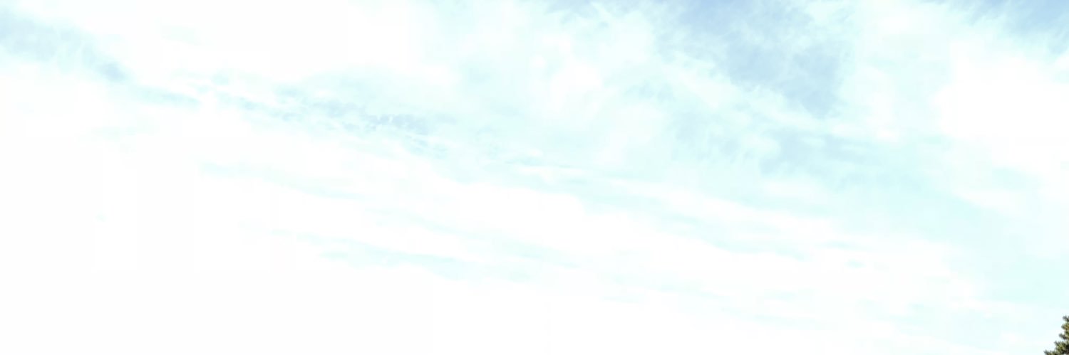 わわわちゃん🤰's banner