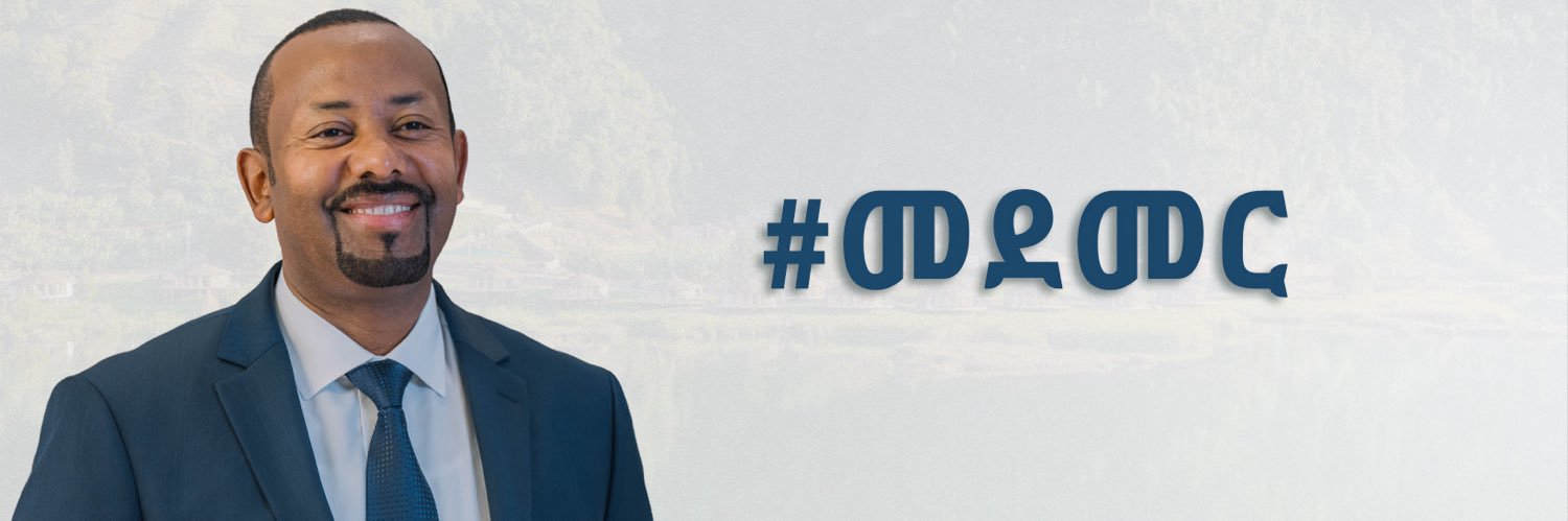 Medemer's banner