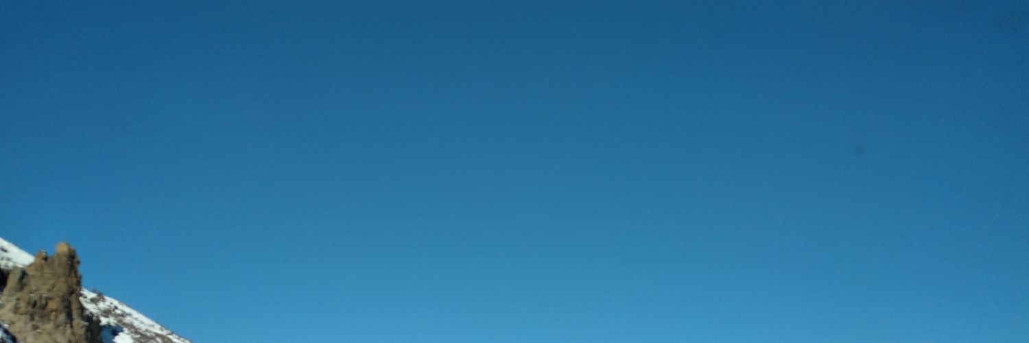 bird ,𝕏's banner