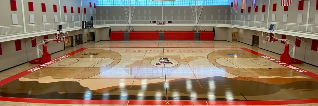 Davis & Elkins Men's Basketball's banner
