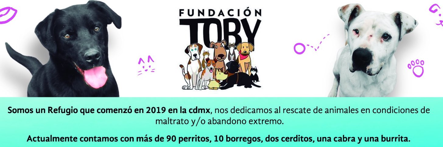 Fundación Toby's banner
