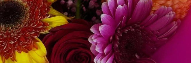 Angie 💐🌸's banner