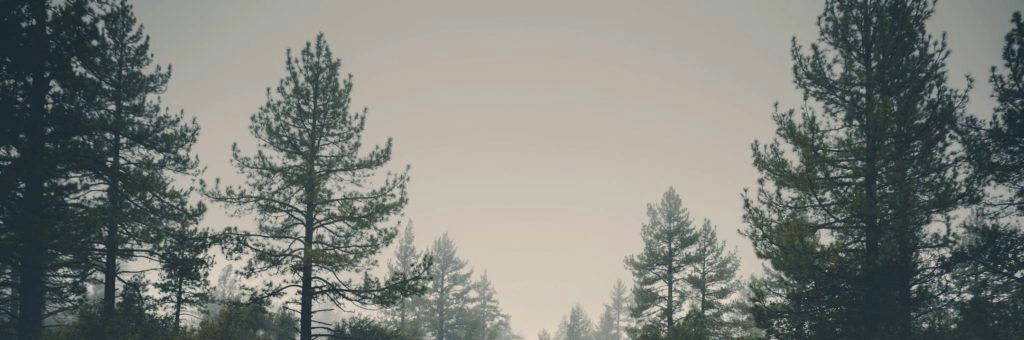 Marialuisa1995's banner