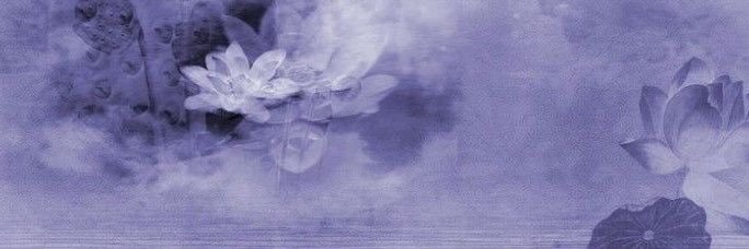 Poppy's banner