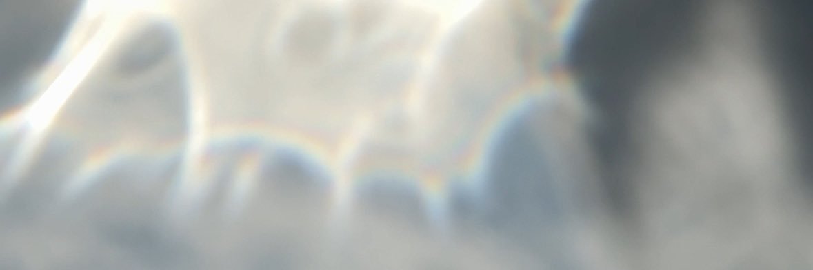jenny z's banner