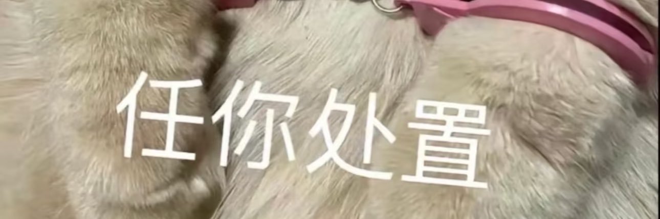 Tikiss（原创互推版）'s banner