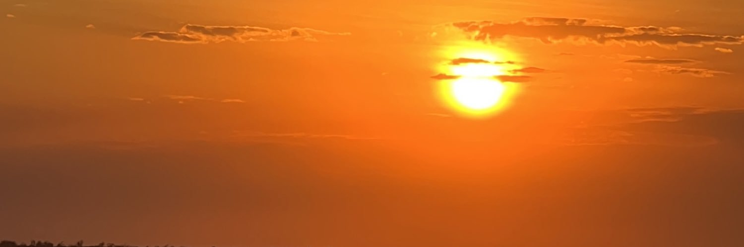 Sonia Ferrer's banner