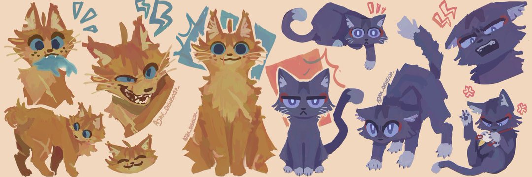 Neo 🐳☂️'s banner