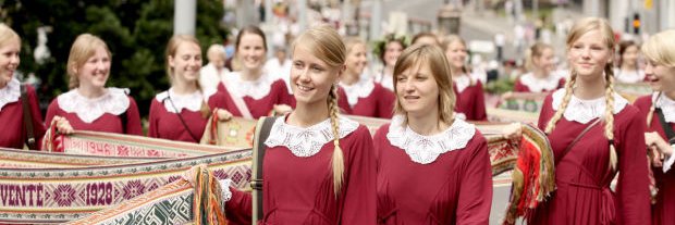 BalticWay's banner