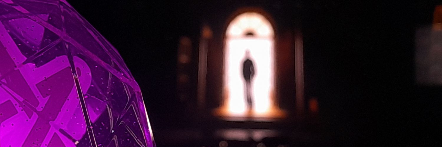 Shaz⋆🧸's banner