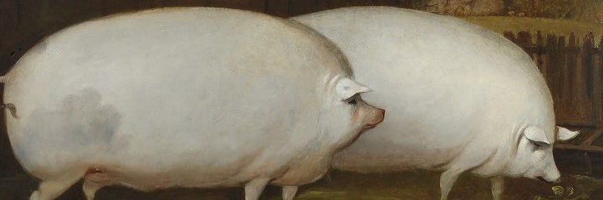 LanaBanana ☭🍌🇵🇸🇭🇷's banner