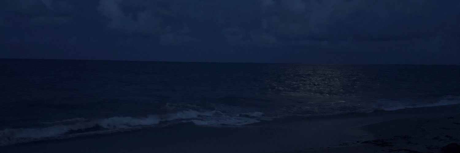 Amanda's banner