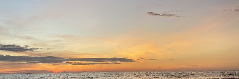 pdgfess's banner