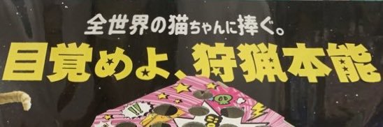 ニラ根っこしましょ。's banner