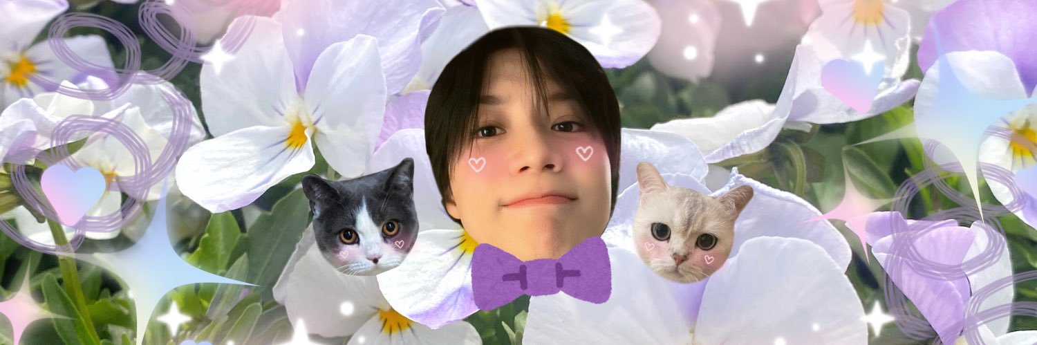 𝓔𝓿𝓮 ⋆. 𐙚 ̊'s banner