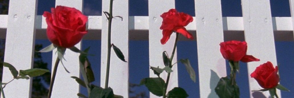 Valentin's banner