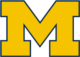 Mike the Wolverine Football Guy's banner