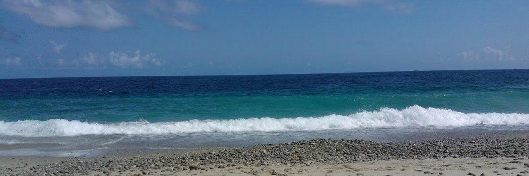 @SegoviaBastidas's banner