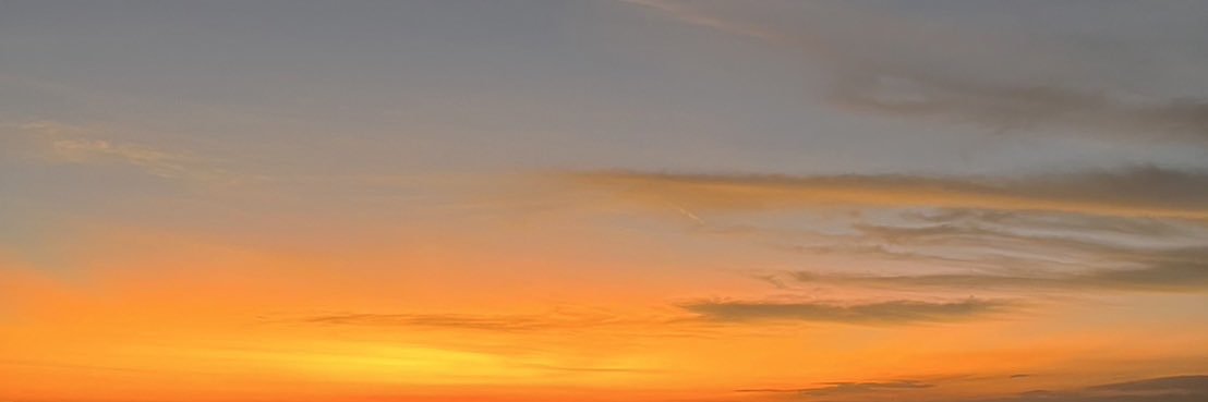 𝒹𝒾𝓃's banner