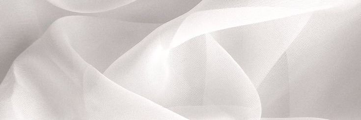 𝚙𝚘𝚖𝚎🐈‍⬛'s banner