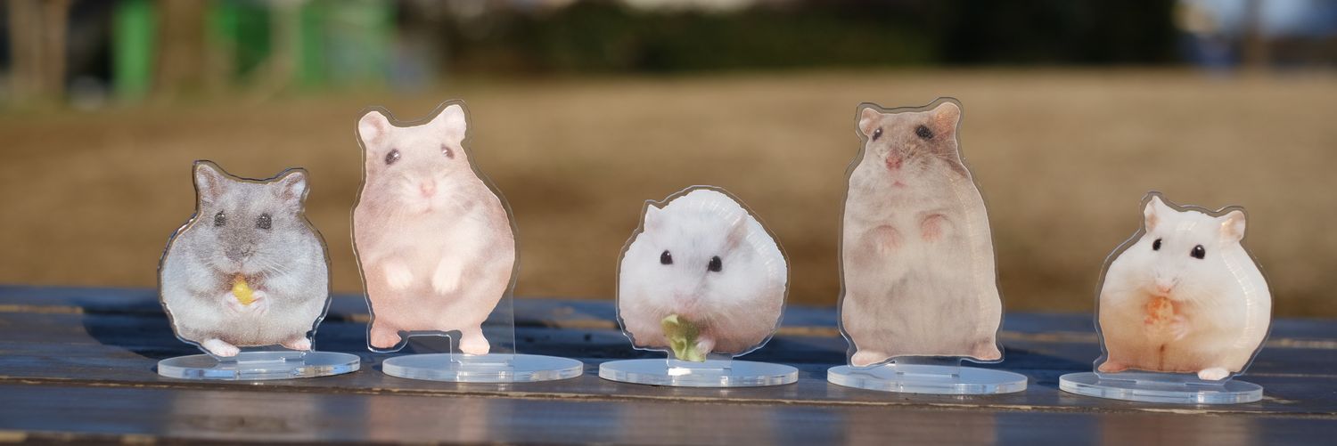 ゆい🐹🐹🐹🐹🐹🐹's banner