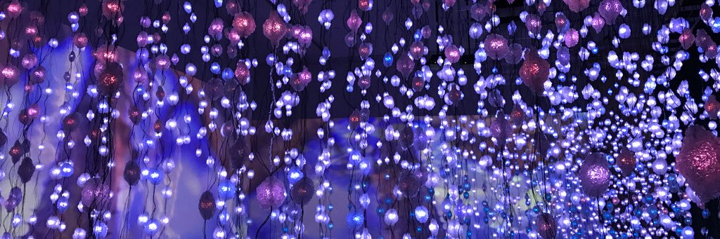 Raini Rodriguez's banner