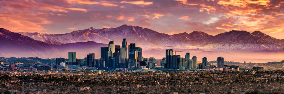 Los Angeles City Government's banner