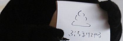DOBOON's banner