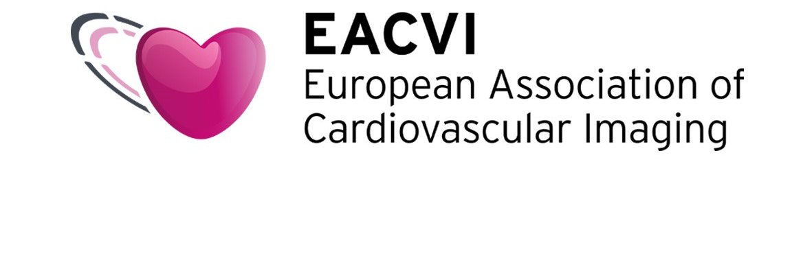 EACVI President's banner