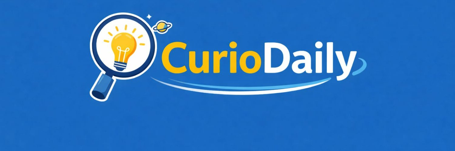CurioDaily's banner