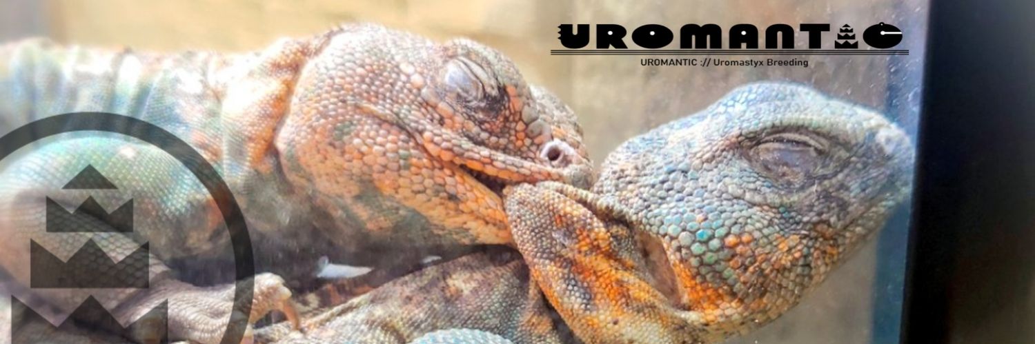 GORO(56)://UROMANTIC's banner