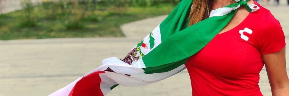Alcalde's banner