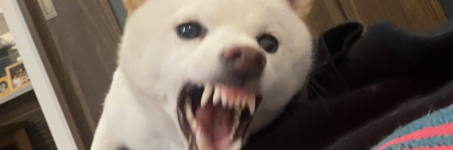 林 萌々子's banner