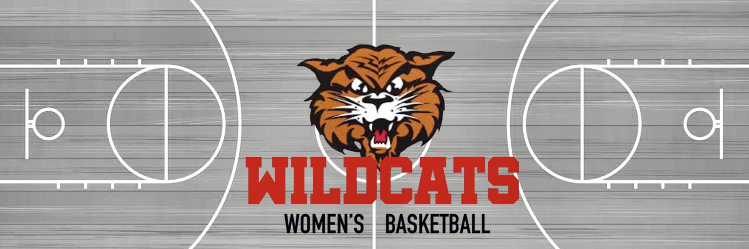 NDSCS Women’s Basketball's banner