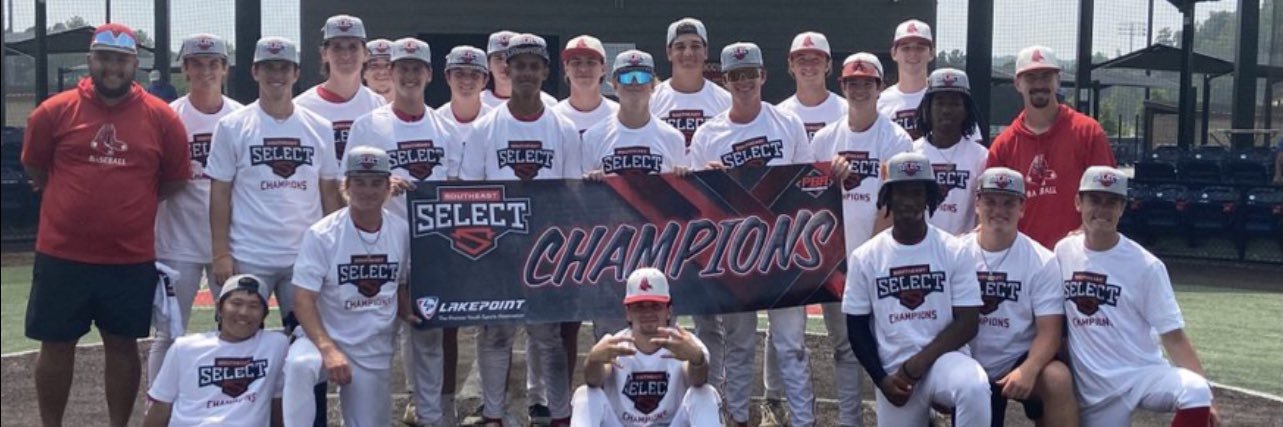 Southeast Sox Baseball's banner