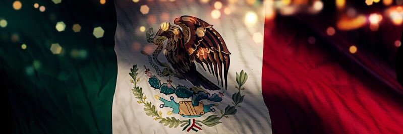 fuerzas_especiales_mex's banner