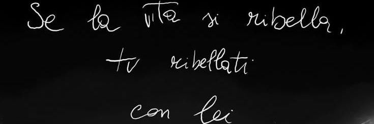 fan di secondino/quartino's banner