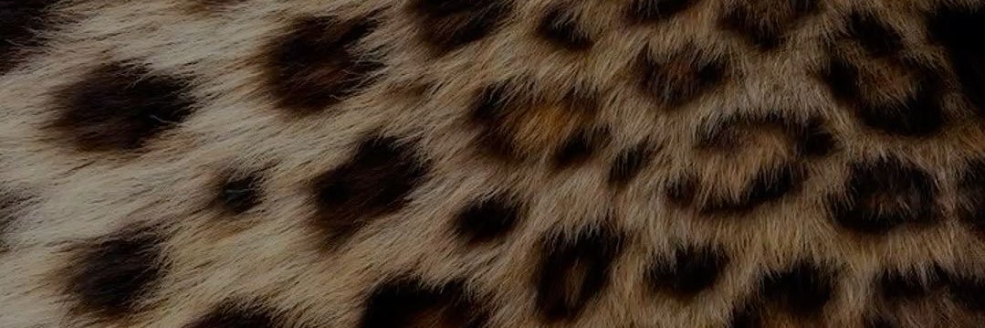 Goddess Katie 👑 findom's banner